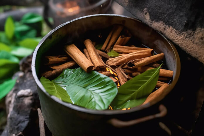 what is Ayahuasca