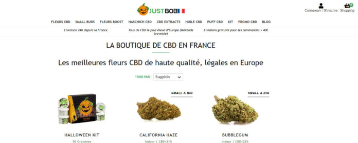 justbob-avis